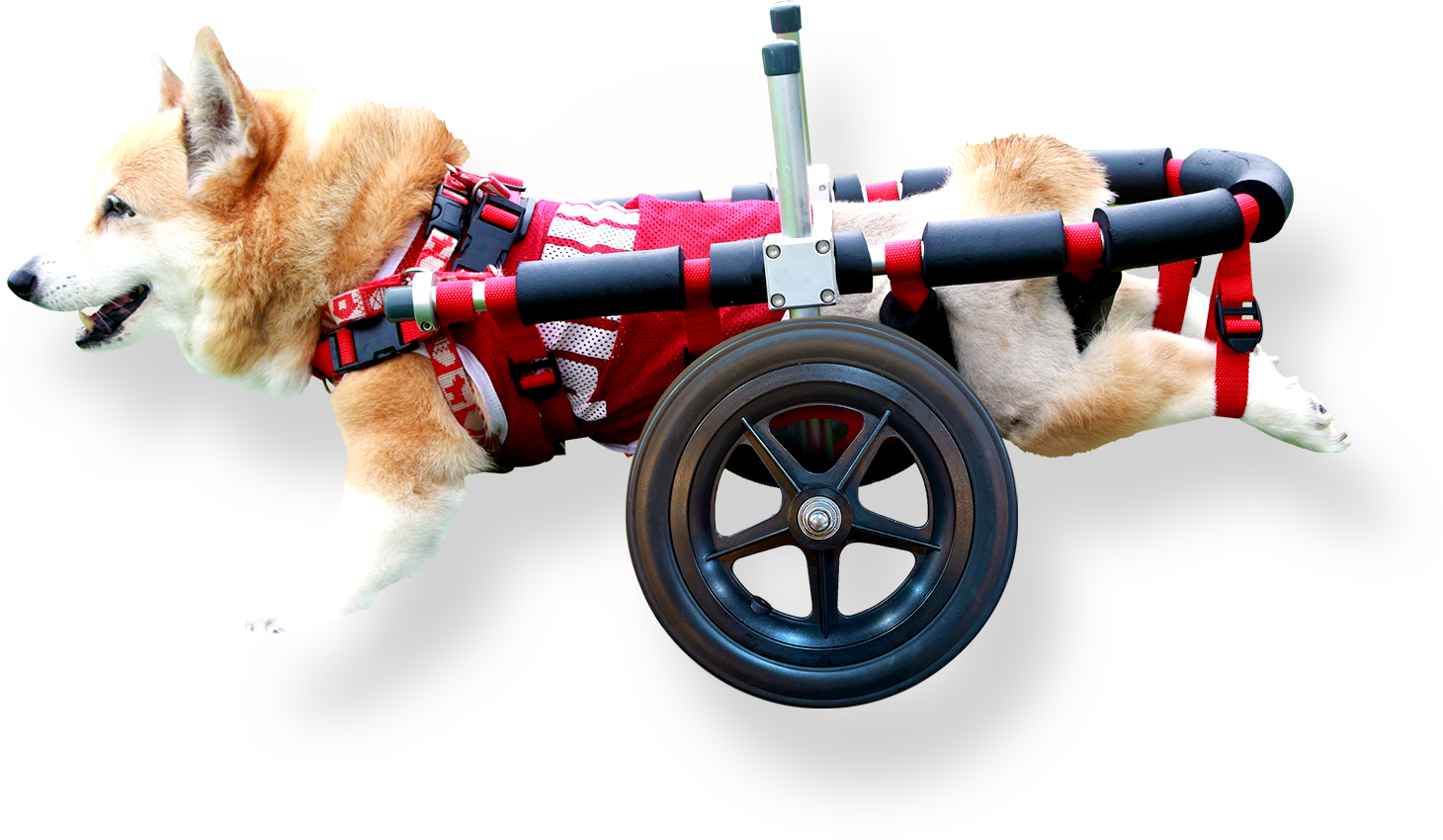 11256円 新品同様 犬車椅子 犬用車椅子 犬の車椅子 コーギー 車椅子 犬用品 犬 介護用品 補助輪 安い 人気
