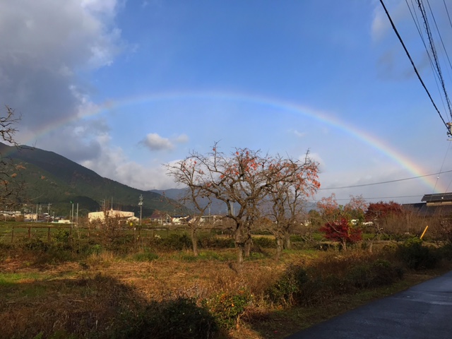 広島県のワイヤーフォックステリア ちりちゃんの犬用車椅子