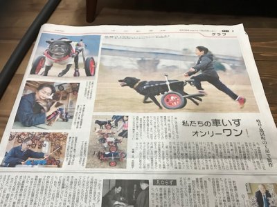 中日新聞夕刊に、はな工房の記事を掲載頂きました。