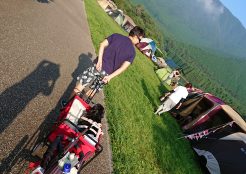ラブラドールレトリーバー 静岡県
