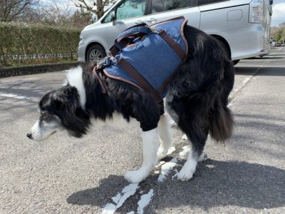 車椅子のご利用と、歩く姿勢についてのお話です。