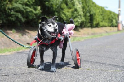 愛知県のムンちゃんがいらっしゃいました。