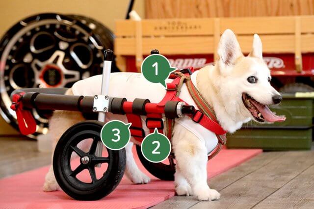 犬の車椅子(ポチの車椅子) - 犬用品