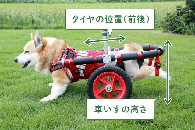 犬用の二輪車椅子