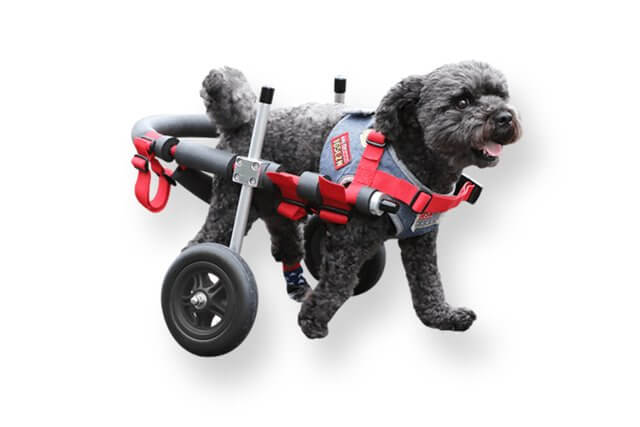 初売り リエママ様専用ページ□犬の車椅子 中型犬用4輪車いす 9～18kg