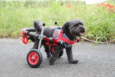 車椅子でのリハビリについて