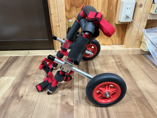 東京都のマルプー　ブレアちゃんの車椅子