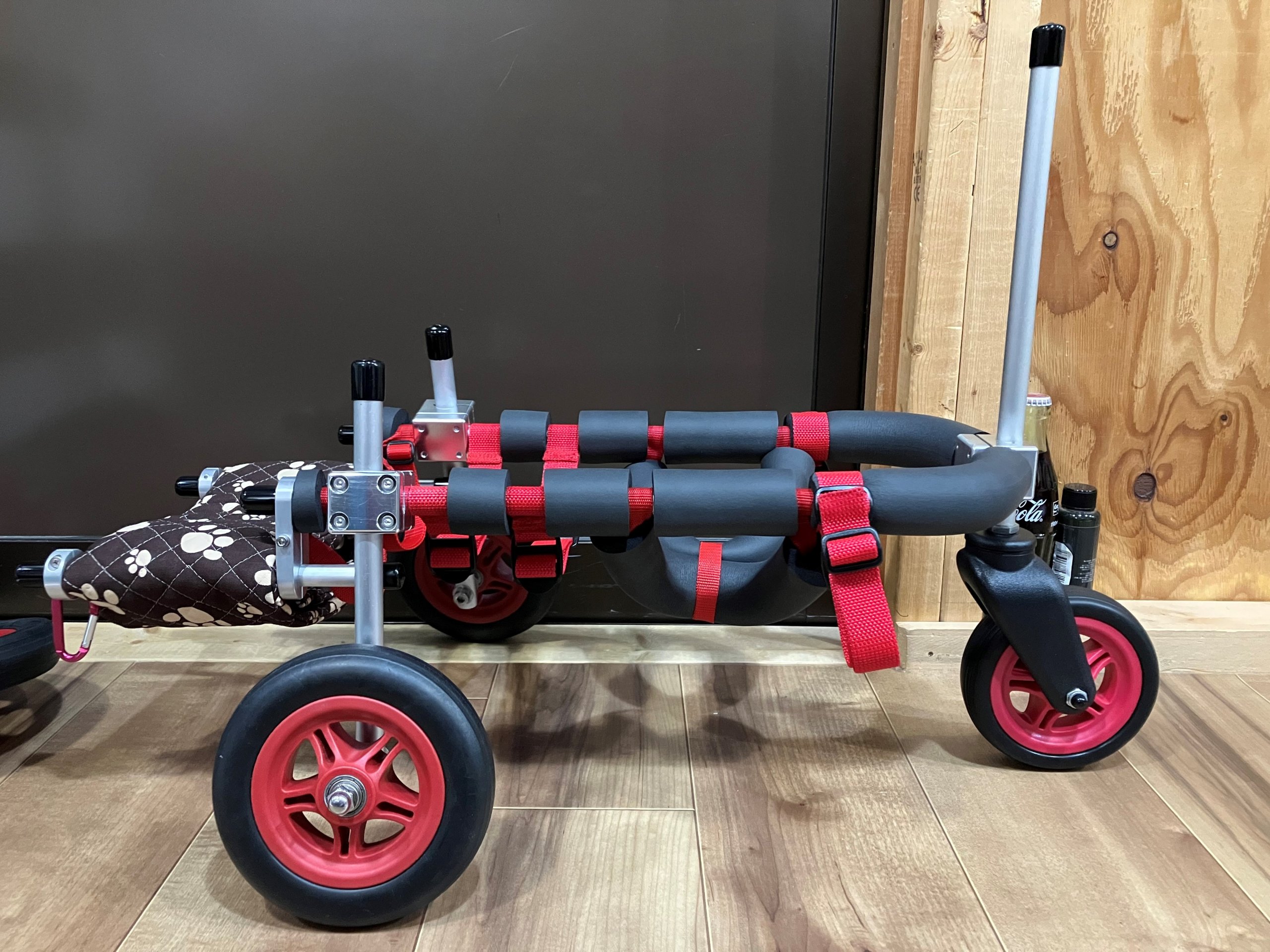 山口県のチワワ ひまわりちゃんの車椅子 ｜製作実績｜はな工房
