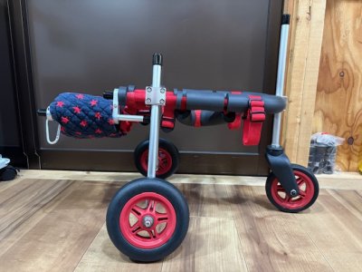 神奈川県の小型犬　ホヌちゃんの車椅子