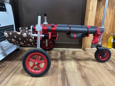 神奈川県の中型犬　ぶんちゃんの車椅子