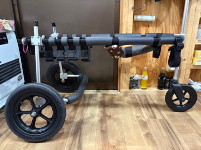 北海道のフラットコーテッドレトリーバー 武蔵ちゃんの車椅子