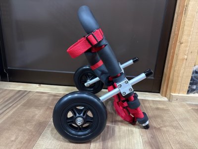 山口県のポメラニアン　ルウちゃんの車椅子