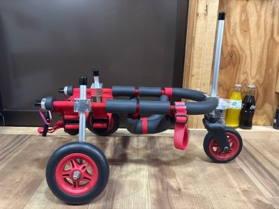 京都府のミニチュアダックスフンド　ナッツちゃんの車椅子