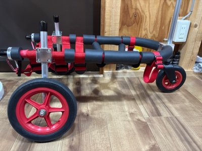 東京都のコーギー　しゃたろーちゃんの車椅子