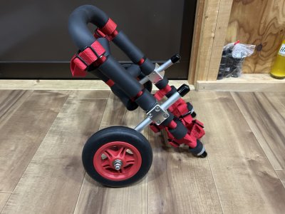 佐賀県のミニチュアダックスフンド　モモちゃんの車椅子