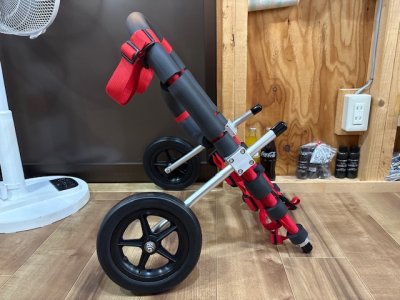 大阪府のボーダーコリー　カーレッジちゃんの車椅子