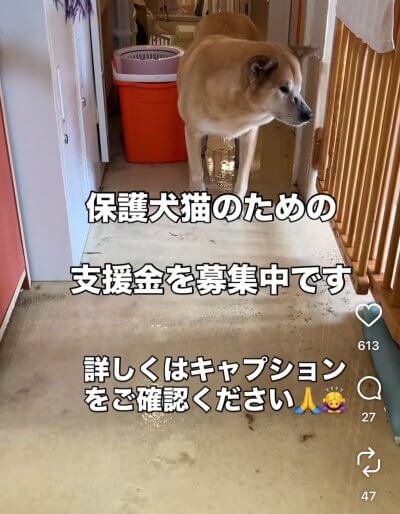 SERIどうぶつ病院様のinstagramをシェアさせて頂きます。