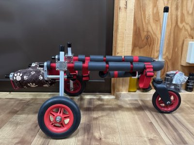 東京都のミニチュアシュナウザー　パブロちゃんの車椅子