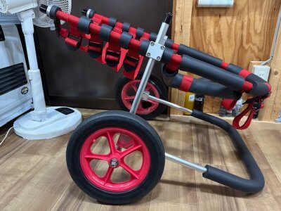 大阪府のシェパード　サーシャちゃんの車椅子