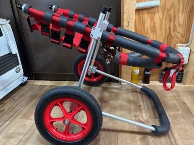 愛知県のロットワイラー×ピットブル　くま☆太郎ちゃんの車椅子