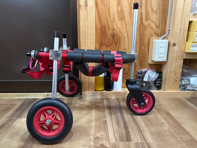 奈良県のトイプードル　さんちゃんの車椅子