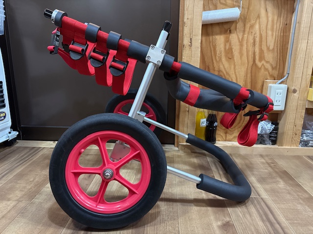 滋賀県の大型犬　アンコちゃんの車椅子