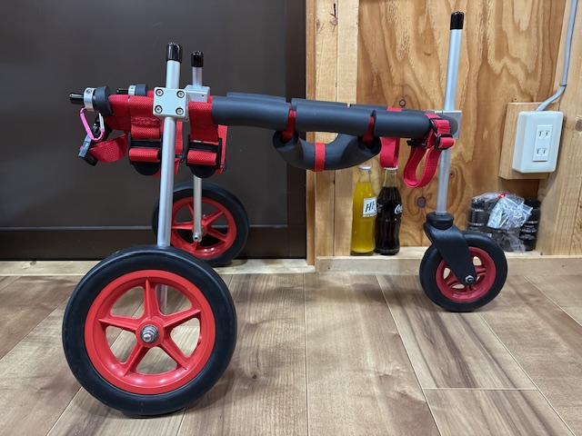 埼玉県の柴犬　ポン太ちゃんの車椅子