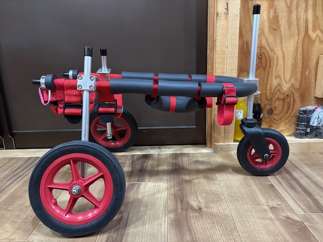 東京都の柴犬　ゆきちゃんの車椅子