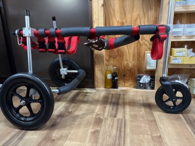 愛知県　ラブラドールレトリーバー　ライヴちゃんの車椅子