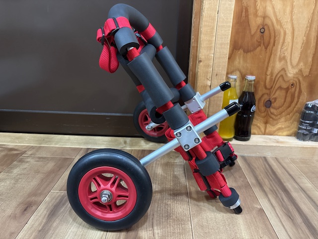 三重県のジャックラッセルテリア　こてつちゃんの車椅子