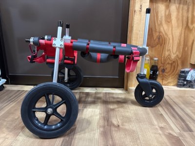 大阪府の小型犬　虎次郎ちゃんの車椅子