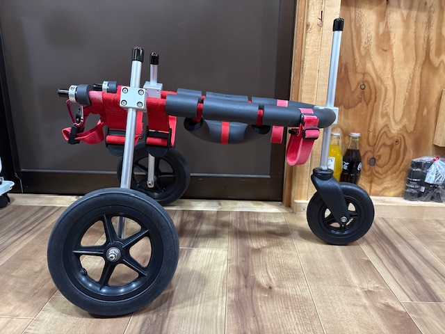 大阪府の小型犬　虎次郎ちゃんの車椅子