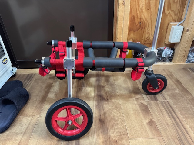 千葉県のフレンチブルドッグ　コービーちゃんの車椅子