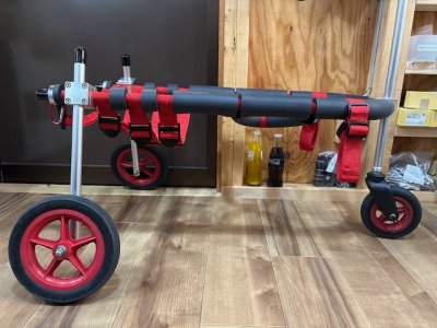 東京都の中型犬　レイちゃんの車椅子