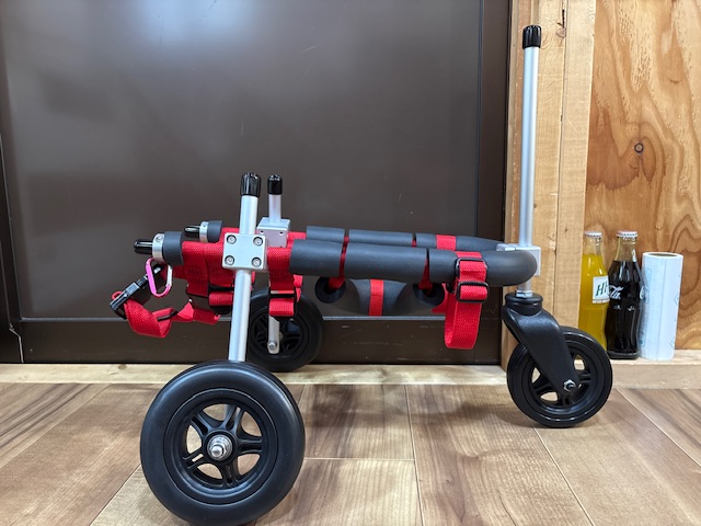 和歌山県のトイプードル　奏（かなで）ちゃんの車椅子