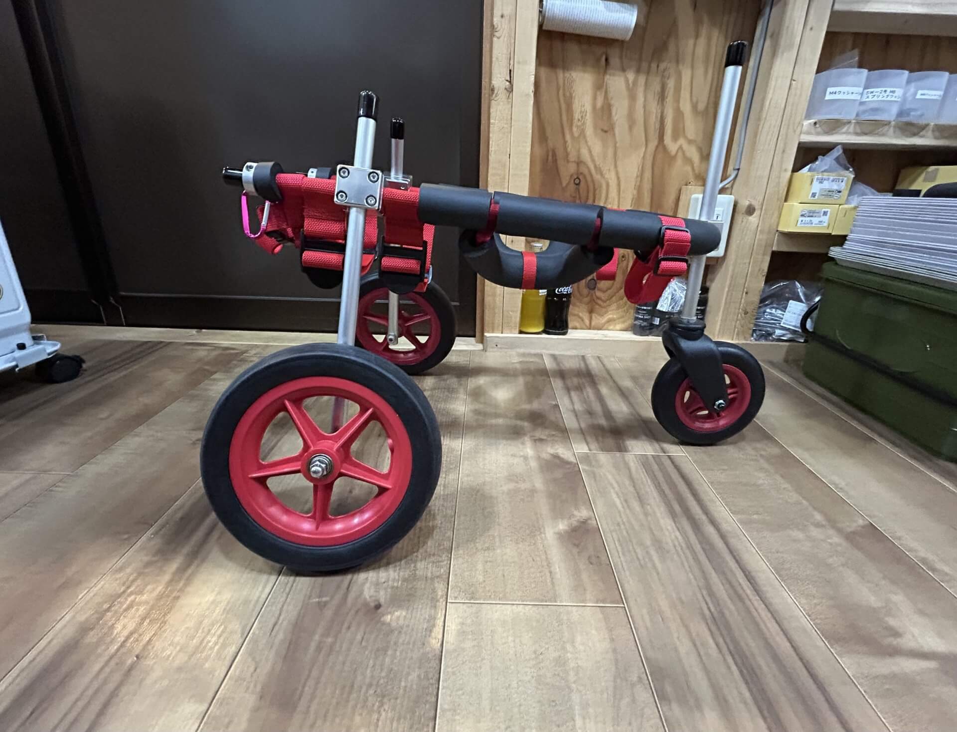 新潟県の柴犬　りんちゃんの車椅子