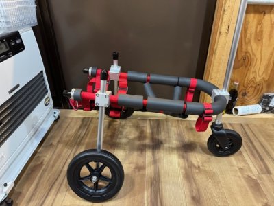 大阪府の柴犬　モカちゃんの車椅子