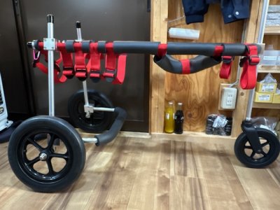 兵庫県のラフコリー　レオンちゃんの車椅子