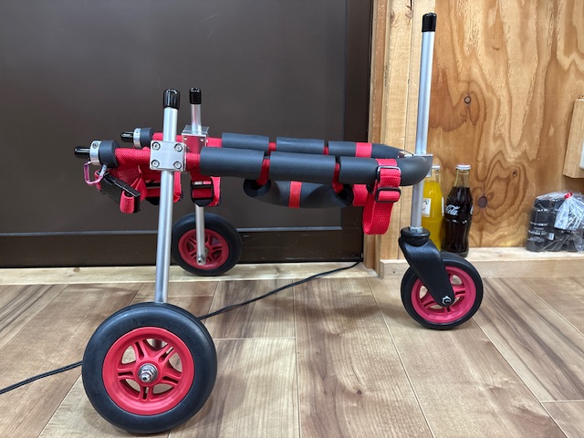 埼玉県のトイプードル　まろんちゃんの車椅子