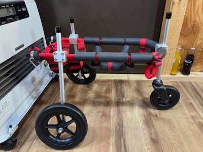 大阪府の柴犬　三朗ちゃんの車椅子