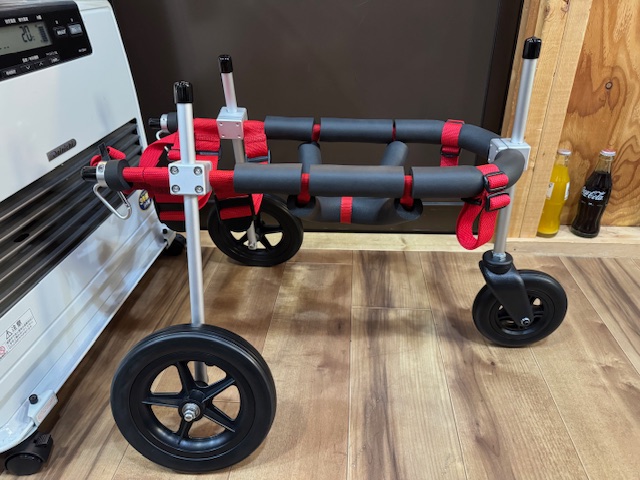 大阪府の柴犬　三朗ちゃんの車椅子