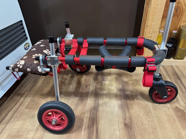 京都府のトイプードル　小太朗ちゃんの車椅子