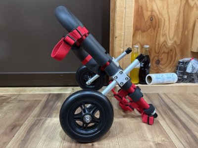 大阪府のカニヘンダックスフンド　はなちゃんの車椅子