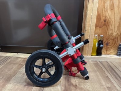 兵庫県のフレンチブルドッグ　風ちゃんの車椅子