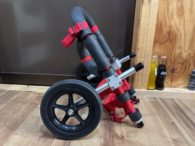 兵庫県のフレンチブルドッグ　風ちゃんの車椅子