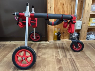 福井県の中型犬　レックスちゃんの車椅子