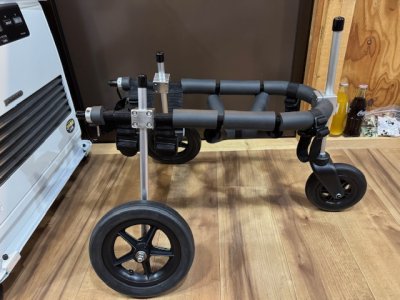 岐阜県の柴犬　テルちゃんの車椅子