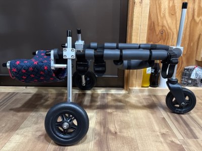 大阪府のポメラニアン　ゆずちゃんの車椅子