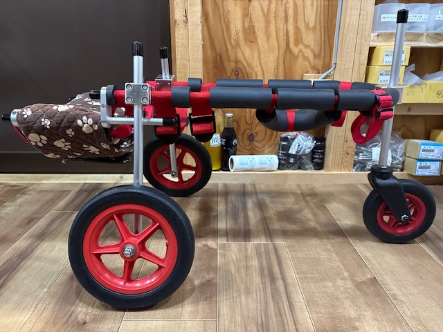 大阪府の柴犬　マリちゃんの車椅子