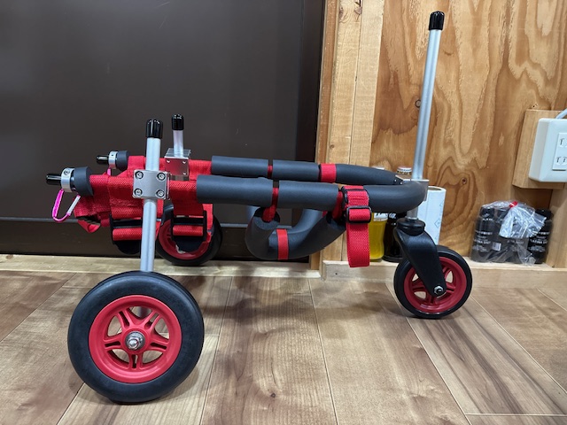 東京都のミニチュアダックスフンド　ワンジロウちゃんの車椅子